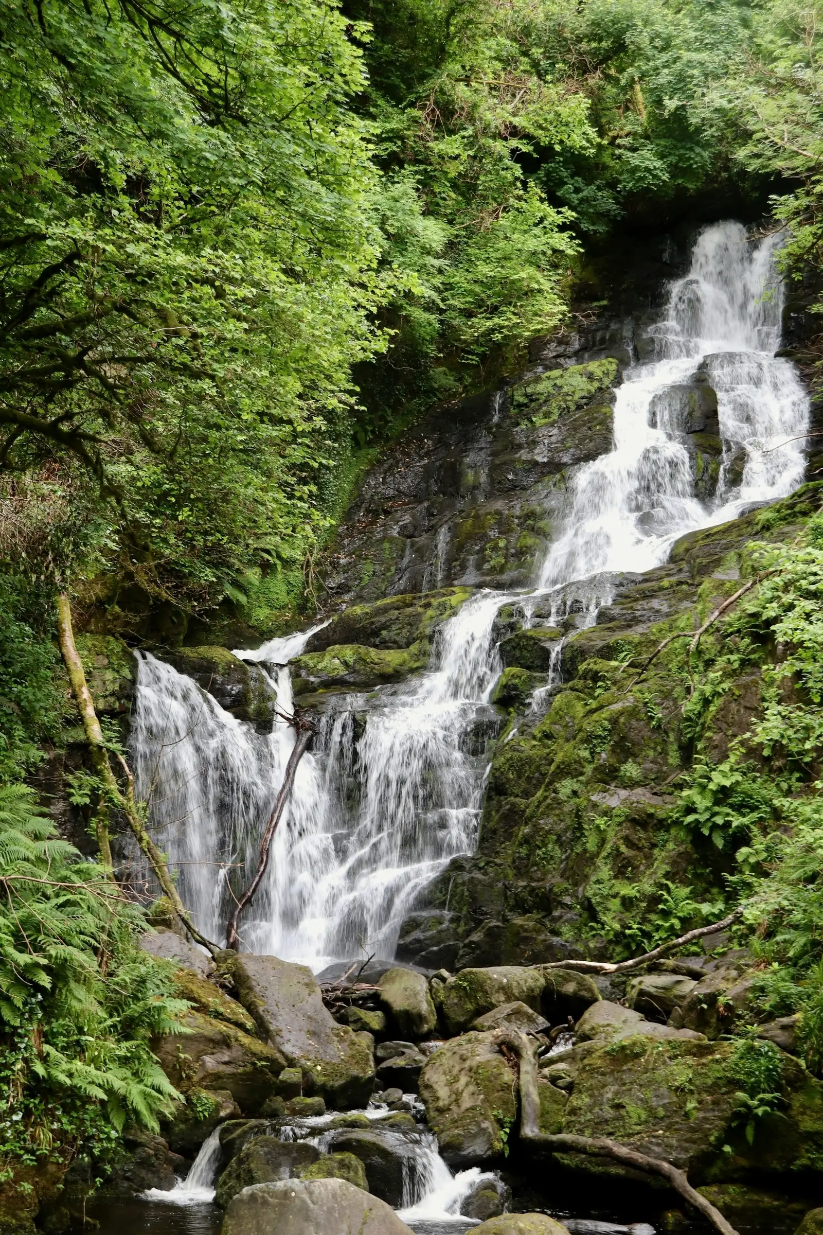 Torc Waterfall in Killarney National Park